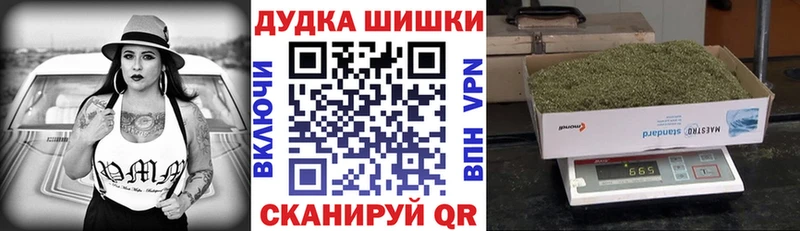Где можно купить наркотики Пудож Альфа ПВП Гашиш Бошки Шишки