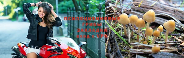 кокс Абдулино